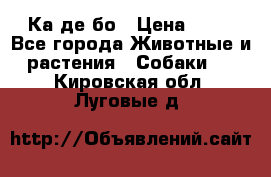 Ка де бо › Цена ­ 25 - Все города Животные и растения » Собаки   . Кировская обл.,Луговые д.